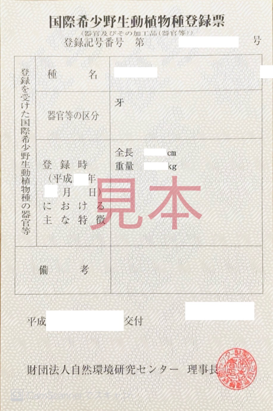 象牙登録商標見本